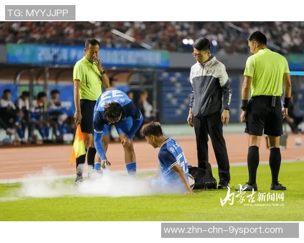 足球的魅力与激情在绿茵场上绽放的故事